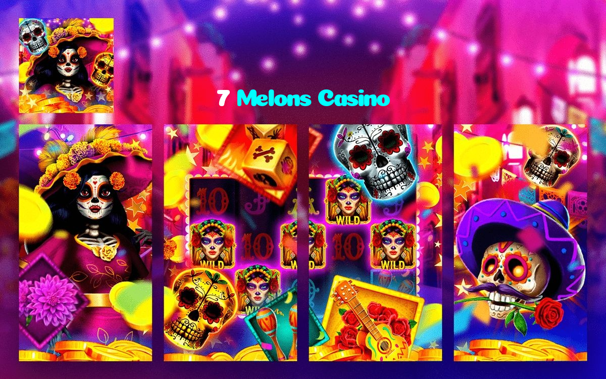 available types of 7 Melons Casino bet including pre-match live express and system bets